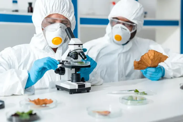 Biolog menggunakan mikroskop di laboratorium sambil bekerja dengan rekan pada pengujian keamanan pangan.