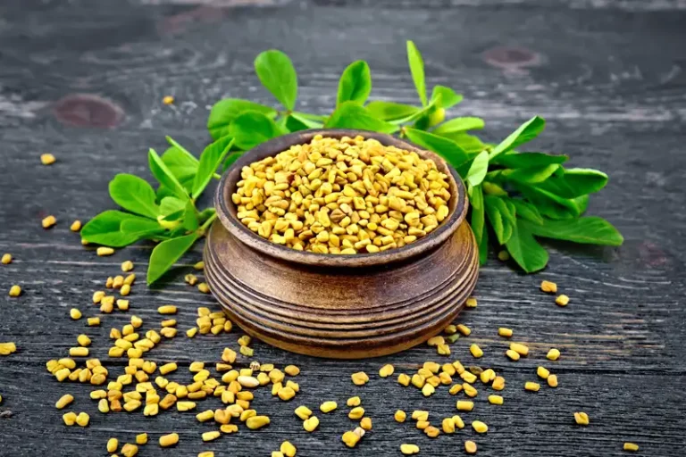 Biji fenugreek dalam mangkuk kayu dengan daun hijau segar di atas papan kayu.