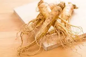 ginseng
