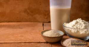 Konsep minuman protein fiber dengan whey, serat oat, psyllium, dan shaker bening.